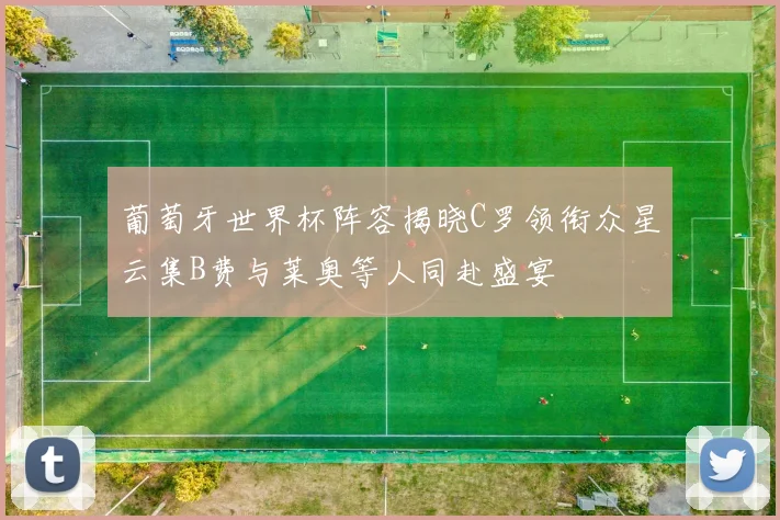 葡萄牙世界杯阵容揭晓C罗领衔众星云集B费与莱奥等人同赴盛宴