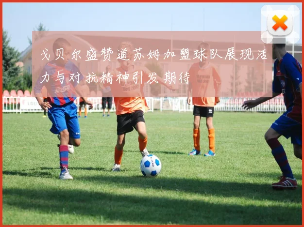 戈贝尔盛赞道苏姆加盟球队展现活力与对抗精神引发期待